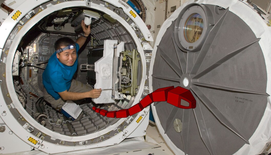 Bildet viser en tenkt slangerobot på romstasjonen ISS - på vei for å inspisere noe for astronauten. (Foto: ISS/ NASA med illustrasjon av slangerobot fra SINTEF, M. Bjerkeng og Ø.H. Holhjem) Bildet viser en tenkt slangerobot på romstasjonen ISS - på vei for å inspisere noe for astronauten. (Foto: ISS/ NASA med illustrasjon av slangerobot fra SINTEF, M. Bjerkeng og Ø.H. Holhjem)