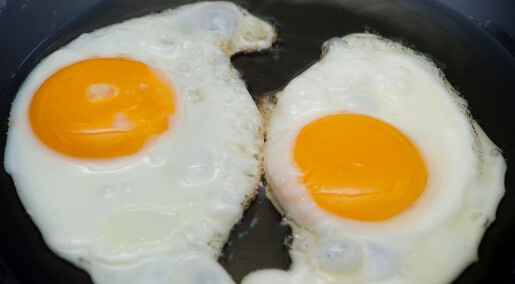 Ny studie: Mye egg koblet til hjertesykdom og død