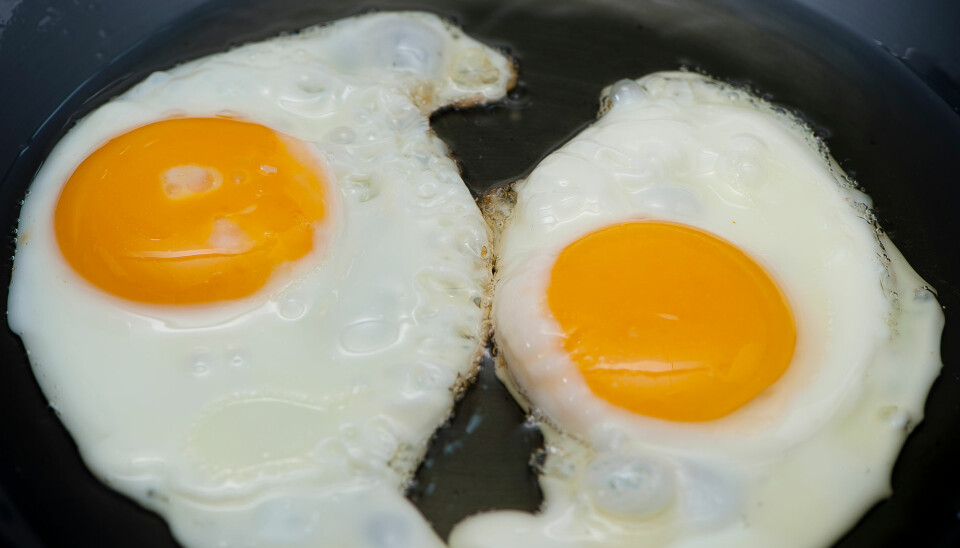 Effekten var ikke veldig stor, men likevel tydelig: Jo mer egg i kosten, jo større var risikoen for hjertesykdom og død. (Foto: HelloRF Zcool / Shutterstock / NTB scanpix)