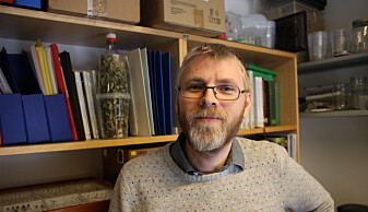 – For å overleve er insektene avhengige av blomstrende planter. Mange arter trenger også åpen sandjord og død ved, forteller insektforsker Hallvard Elven. (Foto: Dag Inge Danielsen) – For å overleve er insektene avhengige av blomstrende planter. Mange arter trenger også åpen sandjord og død ved, forteller insektforsker Hallvard Elven. (Foto: Dag Inge Danielsen)