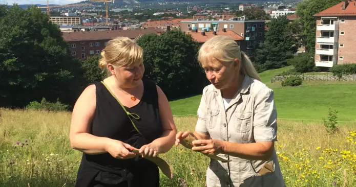 Botaniker og universitetslektor Kristina Bjureke (til høyre) samler frø på en eng i Oslo sammen med Gro Hilde Jacobsen fra Bymiljøetaten, Oslo kommune. (Foto: Honorata Gajda)