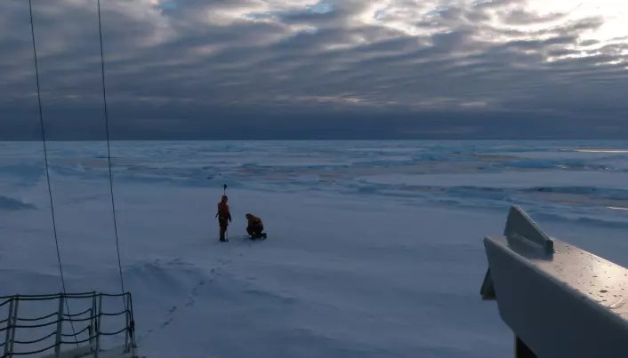 Isen var over to meter på det tykkeste stedet en bølgesensor ble plassert. (Foto: Lars R. Hole, Meteorologisk institutt)