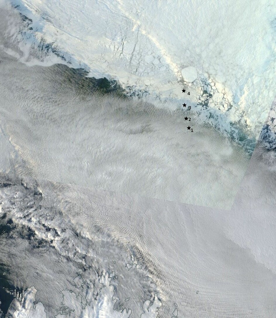 R/V Kronprins Haakon gikk fra Longyearbyen og nesten til 82.5 °N. Den nordligste ekskursjonen var utelukkende for å sette ut bølgesensorene, vist med stjerner. Den første (merket 1) ble satt ut på et isflak. Den siste (merket 4) ble satt ut i fast is. Kartet viser isdekket målt med det optiske MODIS-instrumentet 19. september (det er lett skydekke over åpent hav på bildet). (Foto: NASA Terra / Modis )