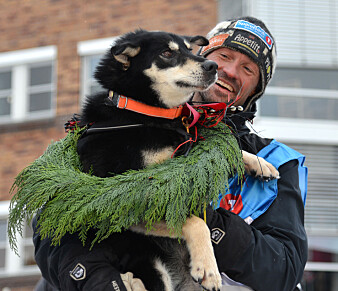 Hundekjører Thomas Wærner var først i mål på Finnmarksløpet 2019. Nå har forskere skrevet bok om hva som gjør hundekjørere så spesielle. (Foto: Marius Mork Broks) Hundekjører Thomas Wærner var først i mål på Finnmarksløpet 2019. Nå har forskere skrevet bok om hva som gjør hundekjørere så spesielle. (Foto: Marius Mork Broks)