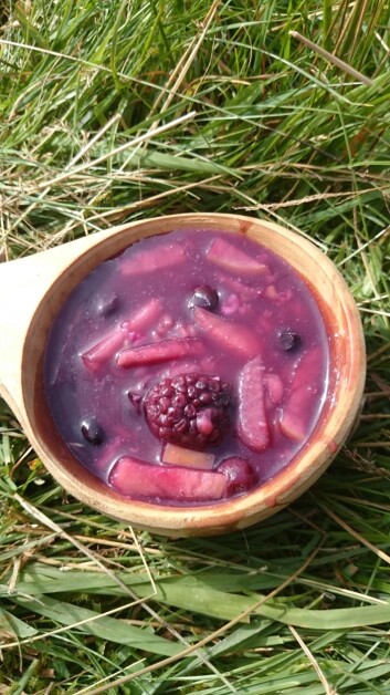 En sunn og rød julesuppe! Også kalt søt utesuppe. (Foto: Merete Hagen Helland/ UiS) En sunn og rød julesuppe! Også kalt søt utesuppe. (Foto: Merete Hagen Helland/ UiS)