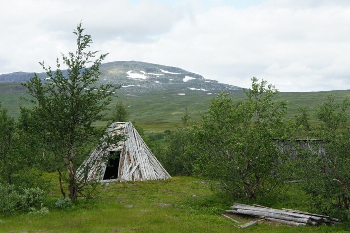 Fra det sørsamiske kulturlandskapet. Gamme ved Stekenjokk-vegen, øst for Røyrvik. I bakgrunnen ser vi fjellet Sipmehketjahke på grensa mellom Norge og Sverige. (Foto: Asbjørn Kolberg) Fra det sørsamiske kulturlandskapet. Gamme ved Stekenjokk-vegen, øst for Røyrvik. I bakgrunnen ser vi fjellet Sipmehketjahke på grensa mellom Norge og Sverige. (Foto: Asbjørn Kolberg)