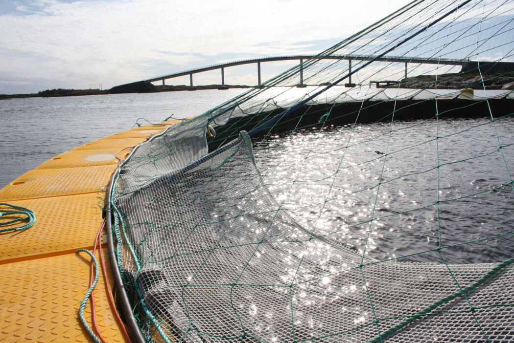 Lukket anlegg: Det finnes ulike prototyper av lukkede anlegg i sjø, men foreløpig ingen i kommersiell produksjon. En tett vegg skiller miljøet i havet fra fisken på innsiden av anlegget. (Foto: Reidun Lilleholt Kraugerud, Nofima) Lukket anlegg: Det finnes ulike prototyper av lukkede anlegg i sjø, men foreløpig ingen i kommersiell produksjon. En tett vegg skiller miljøet i havet fra fisken på innsiden av anlegget. (Foto: Reidun Lilleholt Kraugerud, Nofima)