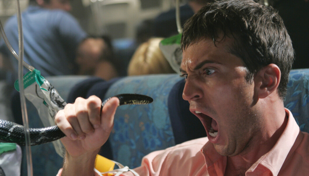 Å være redd for slanger er en av de vanligste fobiene. Her fra filmen Snakes on a Plane. (Foto: SF Norge AS) Å være redd for slanger er en av de vanligste fobiene. Her fra filmen Snakes on a Plane. (Foto: SF Norge AS)