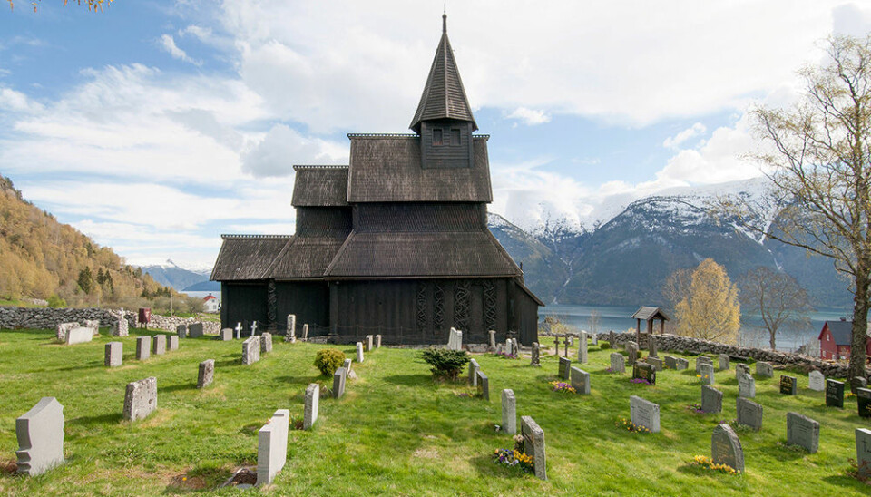 Den eldste daterte tømmerstokken i Urnes kirke begynte å vokse allerede i 765. (Foto: Leif Anker, Riksantikvaren)