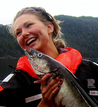 Beste fisken er daud som ei sild – eller her, som ein sei. Foto: Privat Beste fisken er daud som ei sild – eller her, som ein sei. Foto: Privat