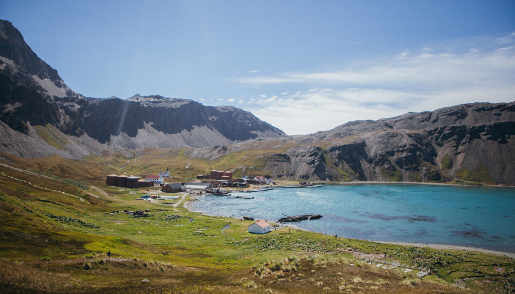 Grytviken på øya Sør-Georgia i Sør-Atlanteren var en hvalfangststasjon som ble grunnlagt i 1904. Stasjonen, som var i drift i over femti år, er i dag en forskningsstasjon og museum. (Foto: Oda Linnea Brekke Iden / Havforskningsinstituttet) Grytviken på øya Sør-Georgia i Sør-Atlanteren var en hvalfangststasjon som ble grunnlagt i 1904. Stasjonen, som var i drift i over femti år, er i dag en forskningsstasjon og museum. (Foto: Oda Linnea Brekke Iden / Havforskningsinstituttet)