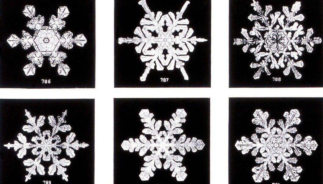 Bildene Wilson Bentley tok av snøkrystaller på slutten av 1800-tallet har fått mye kritikk, men ingen har betvilt at fnuggene som daler ned fra himmelen virkelig har seks kanter. (Foto: Wilson Alwyn Bentley / Science Photo Library) Bildene Wilson Bentley tok av snøkrystaller på slutten av 1800-tallet har fått mye kritikk, men ingen har betvilt at fnuggene som daler ned fra himmelen virkelig har seks kanter. (Foto: Wilson Alwyn Bentley / Science Photo Library)
