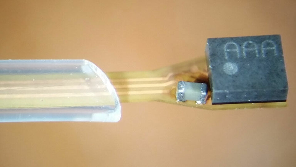 Selve sensorelementet (til høyre) er festet til et polyimidbasert, fleksibelt substrat som er kapslet inn i biokompatibel isolasjon. (Foto: Institutt for mikrosystemer / HSN)
