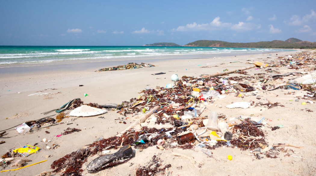 Rester av polyester og annen plast naturen og i fisken vi spiser er et tema i forskningsmagasinet Fram Forum. (Foto: Colourbox) Rester av polyester og annen plast naturen og i fisken vi spiser er et tema i forskningsmagasinet Fram Forum. (Foto: Colourbox)