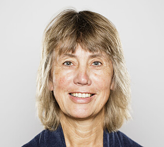 Professor Gunnhild Riise. (Foto: NMBU) Professor Gunnhild Riise. (Foto: NMBU)