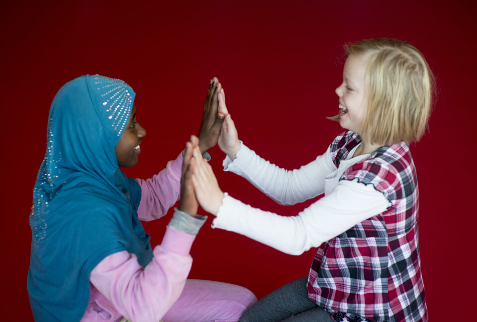 Kan hermegåsa brukes som et pedagogisk virkemiddel i skolen, og vil det å ta hensyn til egne følelser bidra til at elevene får et bedre læringsmiljø? Foto: Morten Brun
