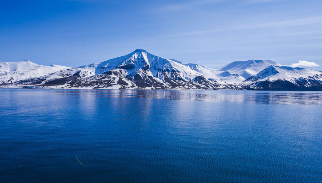 Forskernes resultater fra Arktis viser at det finnes Ole Brumm-strateger i havet. (Foto: Shutterstock / NTB scanpix) Forskernes resultater fra Arktis viser at det finnes Ole Brumm-strateger i havet. (Foto: Shutterstock / NTB scanpix)
