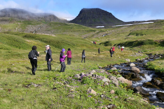 En botanisk stopp på Nordvest-Island. Cruiseturistene var kunnskapstørste og ivrige etter å lære mer om naturen i Arktis. (Foto: Kristine Bakke Westergaard) En botanisk stopp på Nordvest-Island. Cruiseturistene var kunnskapstørste og ivrige etter å lære mer om naturen i Arktis. (Foto: Kristine Bakke Westergaard)