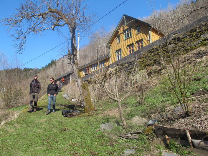 Skoghagen på nedsiden av huset ved Hardangerfjorden. (Foto: Privat) Skoghagen på nedsiden av huset ved Hardangerfjorden. (Foto: Privat)