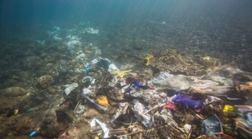 Vil rydde opp i mytene om plast i havet