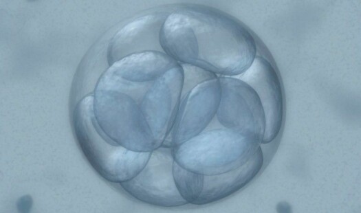 Vil flytte grensene for embryoforskning