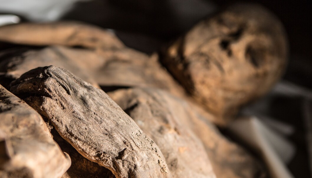 Denne mumifiserte gutten kan ha dødd av kopper på 1600-tallet. (Foto: Kiril Cachovski of the Lithuanian Mummy Project, 2015) Denne mumifiserte gutten kan ha dødd av kopper på 1600-tallet. (Foto: Kiril Cachovski of the Lithuanian Mummy Project, 2015)