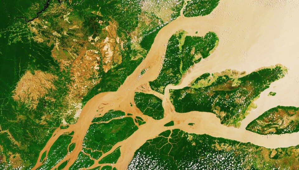 Deltaer er kjente for dyre- og plante-mangfold. Her ser vi et sattelittbilde av Amazonas-deltaet, som bare er en tiendel av størrelsen til det nyoppdagede ur-deltaet. (Foto: Lavizzara, NTB scanpix)