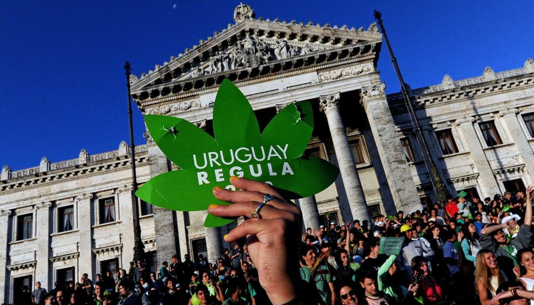 Uruguay har legalisert hasj og fått store problemer