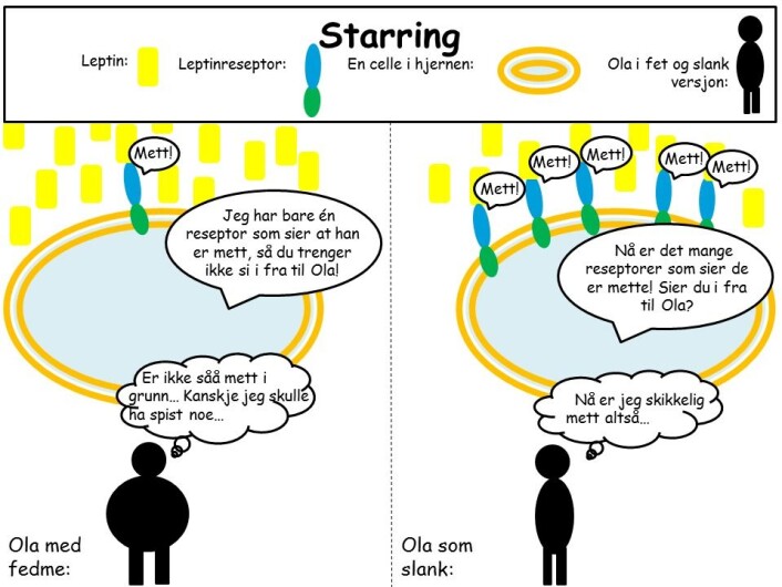 (Foto: Illustrasjonsgrafikk: Christine Sommer) (Foto: Illustrasjonsgrafikk: Christine Sommer)