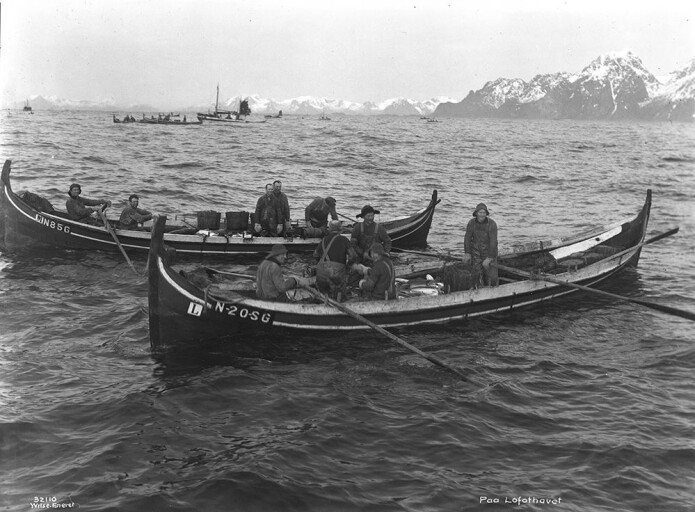 På Lofothavet i 1928 (Foto: Anders Beer Wilse og Norsk Folkemuseum) På Lofothavet i 1928 (Foto: Anders Beer Wilse og Norsk Folkemuseum)