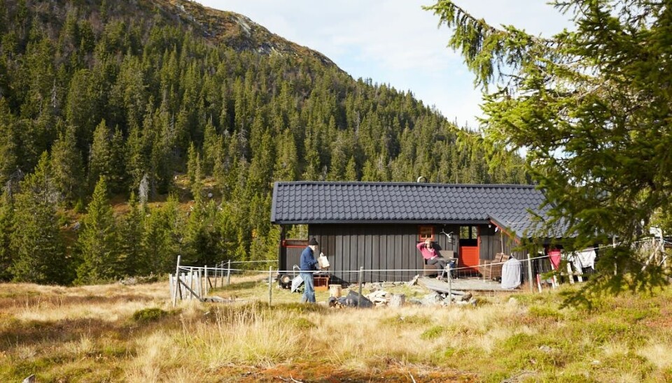 Er du et hyttemenneske? Forskerne fant at familier med hytte gjerne tester hvordan nye gjester passer inn. (Foto: Haakon Harriss, Norsk Folkemuseum)