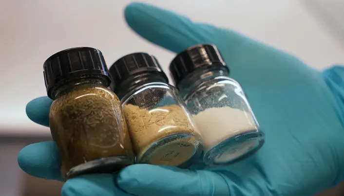 Innholdet i glassene håper NTNU-forskerne skal bli til et grønt batteri-eventyr for Norge. (Foto: Mona Sprenger) Innholdet i glassene håper NTNU-forskerne skal bli til et grønt batteri-eventyr for Norge. (Foto: Mona Sprenger)