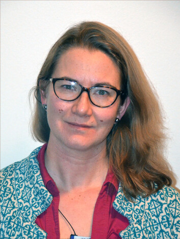 Ann Mari Svensson. (Foto: NTNU) Ann Mari Svensson. (Foto: NTNU)