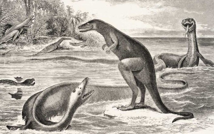 Her er noen av dyrene beskrevet av paleontologen E. Cope, som navnga ett av dem etter sine rivaler. (Foto: E.D. Cope, Wikimedia Commons) Her er noen av dyrene beskrevet av paleontologen E. Cope, som navnga ett av dem etter sine rivaler. (Foto: E.D. Cope, Wikimedia Commons)