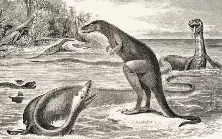 Her er noen av dyrene beskrevet av paleontologen E. Cope, som navnga ett av dem etter sine rivaler. (Foto: E.D. Cope, Wikimedia Commons)