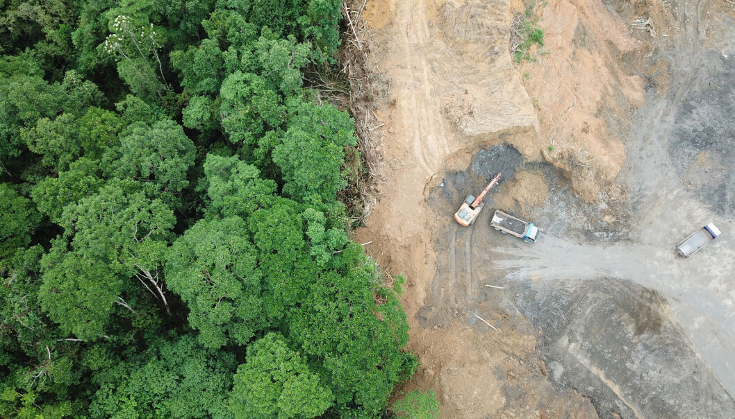 Etterspørselen etter råvarer som mat og dyrefôr, tømmer og papir, drivstoff og mineraler er hovedårsaken til at regnskogen forsvinner. (Illustrasjonsbilde: Rich Carey, Shutterstock, NTB scanpix) Etterspørselen etter råvarer som mat og dyrefôr, tømmer og papir, drivstoff og mineraler er hovedårsaken til at regnskogen forsvinner. (Illustrasjonsbilde: Rich Carey, Shutterstock, NTB scanpix)