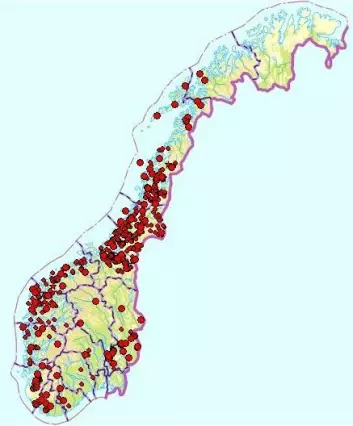 Registreringer av skrukkelav i Norge etter år 2000. (Foto: (Kart: Artsdatabanken og GBIF-Norge))
