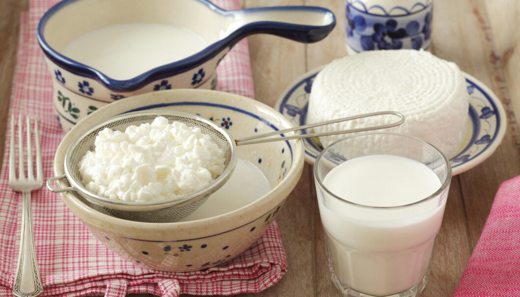 Proteinene som finnes i melk og ost kan ha en spesiell evne til å holde deg slank, ifølge ny forskning. I hvert fall hvis du er mus. (Foto: Bon Appetit / NTB Scanpix) Proteinene som finnes i melk og ost kan ha en spesiell evne til å holde deg slank, ifølge ny forskning. I hvert fall hvis du er mus. (Foto: Bon Appetit / NTB Scanpix)