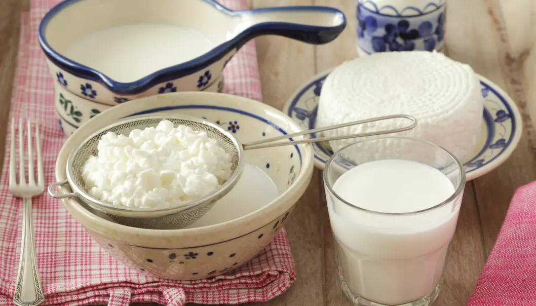 Proteinene som finnes i melk og ost kan ha en spesiell evne til å holde deg slank, ifølge ny forskning. I hvert fall hvis du er mus.  (Foto: Bon Appetit / NTB Scanpix)