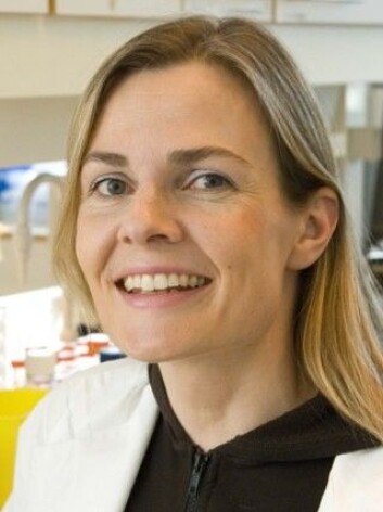 Forsker og professor Johanna Olweus ved UiO og Radiumhospitalet, Oslo Universitetssykehus. (Foto: UiO) Forsker og professor Johanna Olweus ved UiO og Radiumhospitalet, Oslo Universitetssykehus. (Foto: UiO) 