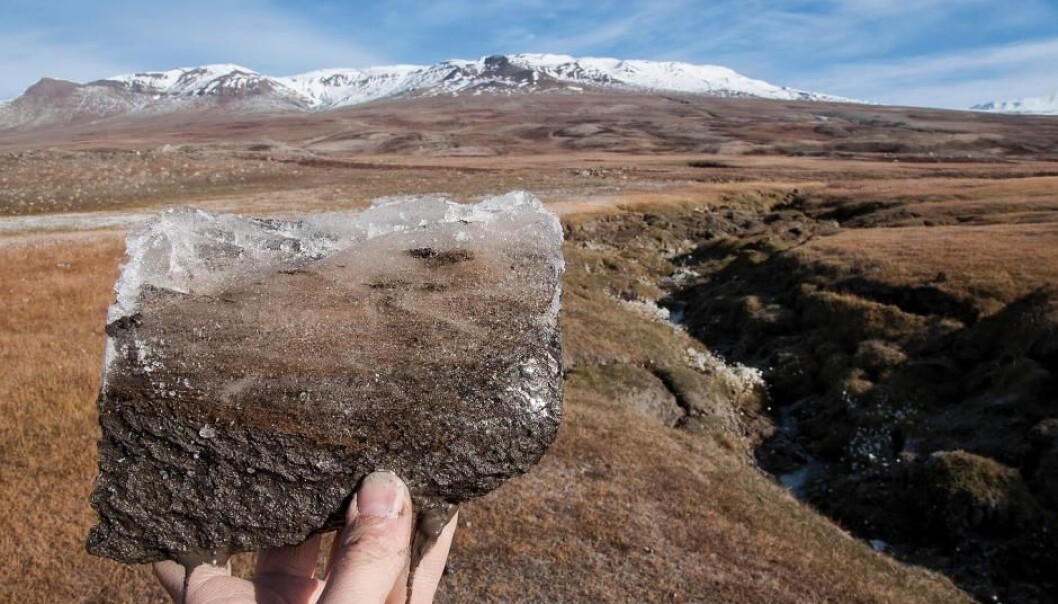 Den raske oppvarmingen av jordbunnen i Arktis vil kanskje fremskynde utslipp av karbon fra mikrober, noe som kan fremskynde klimaendringene. (Foto: Bo Elberling) Den raske oppvarmingen av jordbunnen i Arktis vil kanskje fremskynde utslipp av karbon fra mikrober, noe som kan fremskynde klimaendringene. (Foto: Bo Elberling)