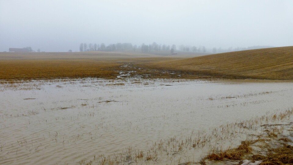 Her ser vi et oversvømt jorde, også i Hobøl kommune. (Foto: Jannes Stolte, NIBIO)