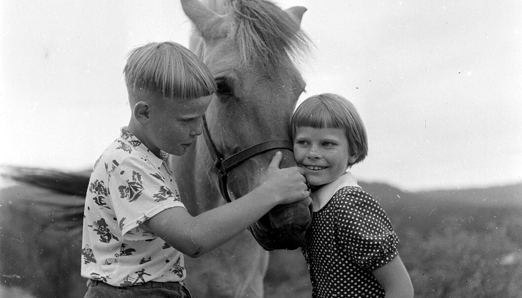Torgeir og Åshild fra Nissedal klapper hesten hjemme på gården, før de skal reise med fly til Oslo. Den turen lagde Billedbladet NÅ en reportasje om på 1960-tallet. I mer enn hundre år har barn som Torgeir og Åshild fått navn med røtter i norrønt språk. Nå er det nesten slutt. (Foto: Billedbladet NÅ/Digitalarkivet) Torgeir og Åshild fra Nissedal klapper hesten hjemme på gården, før de skal reise med fly til Oslo. Den turen lagde Billedbladet NÅ en reportasje om på 1960-tallet. I mer enn hundre år har barn som Torgeir og Åshild fått navn med røtter i norrønt språk. Nå er det nesten slutt. (Foto: Billedbladet NÅ/Digitalarkivet)