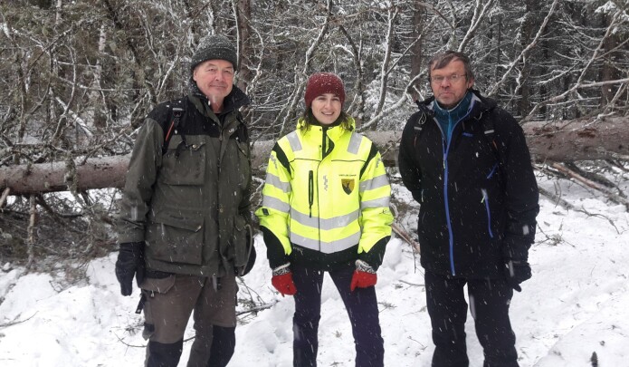 Skogbrukssjef i Sandefjord Sanela Jacobsen har fått med seg skogentomologene Torstein Kvamme (venstre) og Bjørn Økland fra Nibio til barkbilleangrepet område i Andebu. (Foto: Ingar Aadne) Skogbrukssjef i Sandefjord Sanela Jacobsen har fått med seg skogentomologene Torstein Kvamme (venstre) og Bjørn Økland fra Nibio til barkbilleangrepet område i Andebu. (Foto: Ingar Aadne)