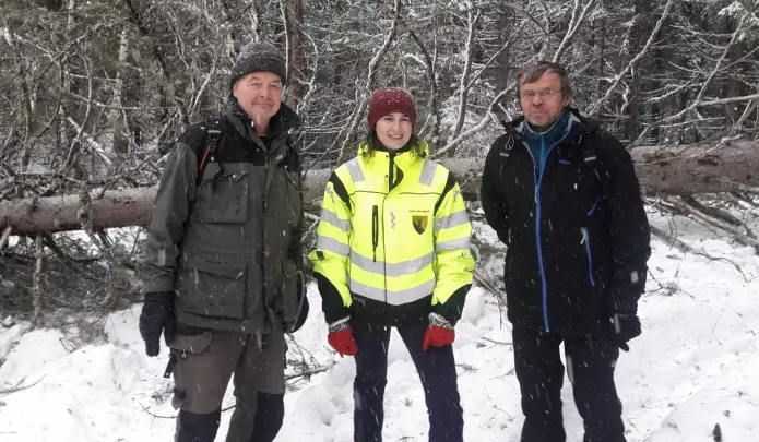 Skogbrukssjef i Sandefjord Sanela Jacobsen har fått med seg skogentomologene Torstein Kvamme (venstre) og Bjørn Økland fra Nibio til barkbilleangrepet område i Andebu. (Foto: Ingar Aadne)