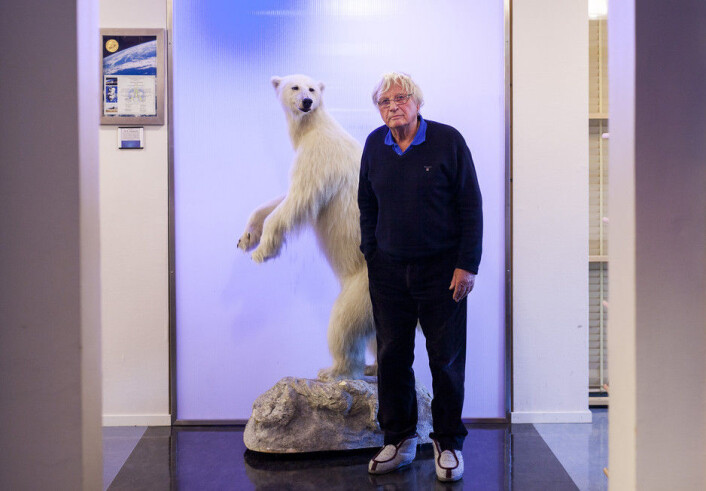Ei ung utgåve av Arktis' konge, isbjørnen. Ola M. Johannessen til høgre. (Foto: Ingvild Festervoll Melien) Ei ung utgåve av Arktis' konge, isbjørnen. Ola M. Johannessen til høgre. (Foto: Ingvild Festervoll Melien)