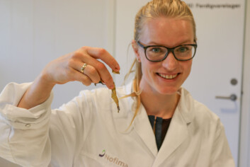 Marthe Blikras mastergrad gjør det lettere for taren å havne på matbordet. (Foto: Nofima) Marthe Blikras mastergrad gjør det lettere for taren å havne på matbordet. (Foto: Nofima)