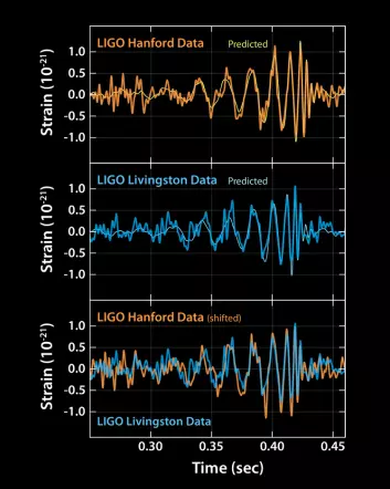 Disse grafene viser signalene av gravitasjonsbølger som påvises ved LIGO- observatoriene i henholdsvis Livingston, Louisiana, og Hanford, Washington. Signalene kom fra to fusjonerende svarte hull, hver på cirka 30 ganger massen til vår sol, som lå 1,3 milliarder lysår unna. (Foto: Ligo)