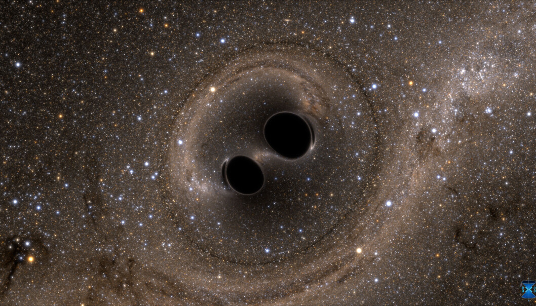 LIGO oppdaget gravitasjonsbølger, eller krusninger i tid og rom, generert som sammenslåtte sorte hull. Simuleringen viser hvordan fusjonen ville sett ut hvis vi fikk en nærmere titt. Stjernene vises vridd på grunn av den sterke tyngdekraften til de svarte hullene. (Illustrasjon: LIGO/SXS) LIGO oppdaget gravitasjonsbølger, eller krusninger i tid og rom, generert som sammenslåtte sorte hull. Simuleringen viser hvordan fusjonen ville sett ut hvis vi fikk en nærmere titt. Stjernene vises vridd på grunn av den sterke tyngdekraften til de svarte hullene. (Illustrasjon: LIGO/SXS)