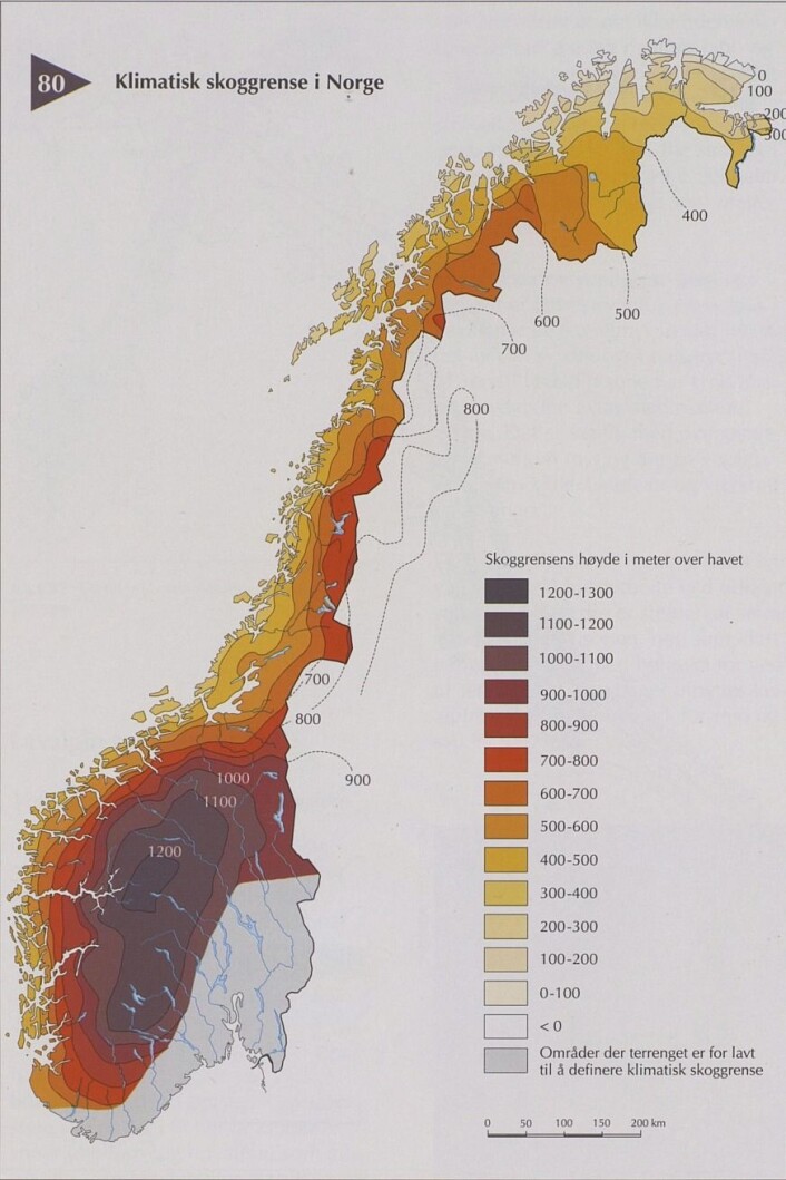 Kart over omtrentlig skoggrense i ulike deler av Norge. (Foto: Kilde: Moen (1998) etter Aas (1964) i ”Nasjonalatlas for Norge: Vegetasjon”) Kart over omtrentlig skoggrense i ulike deler av Norge. (Foto: Kilde: Moen (1998) etter Aas (1964) i ”Nasjonalatlas for Norge: Vegetasjon”)